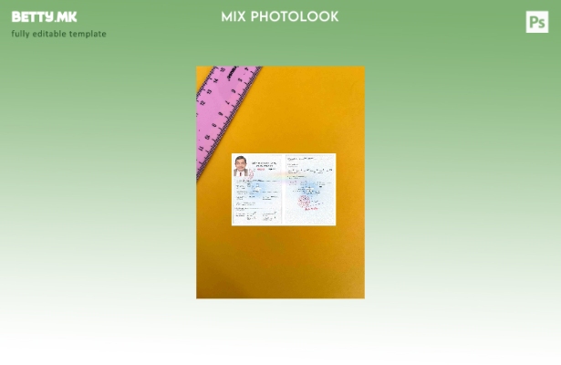 Модерен стил, шаблон за верзија на работната дозвола во Виетнам, photolook